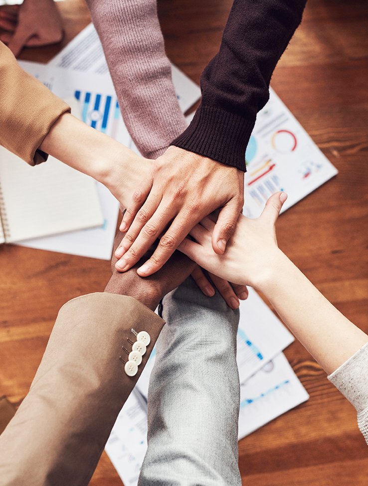 佰富彩-清静购彩大厅官网