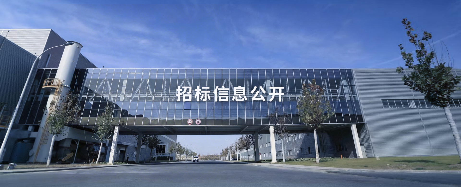 佰富彩-清静购彩大厅官网